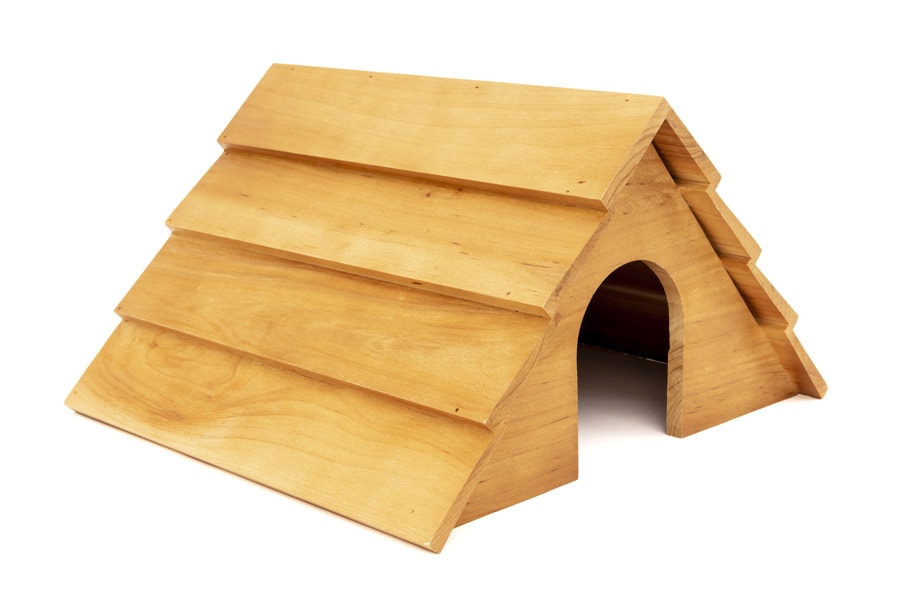 Hedgehog House 